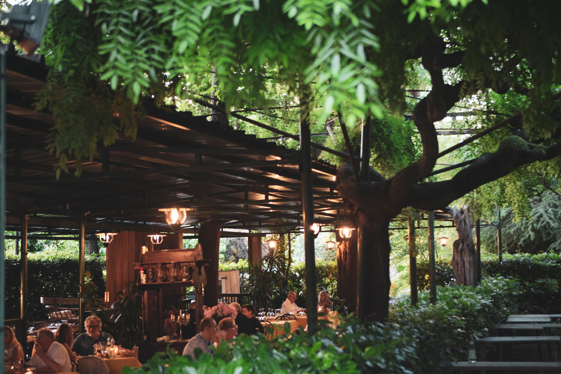 Giardino estivo con ospiti a cena sotto il pergolato